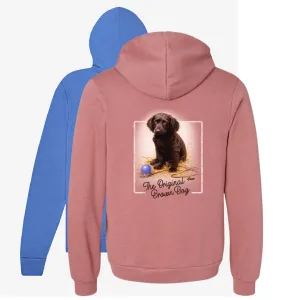 Late for School Boykin Puppy Hoodie